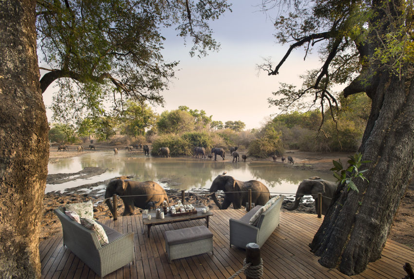 Kanga Camp Zimbabwe Elephants