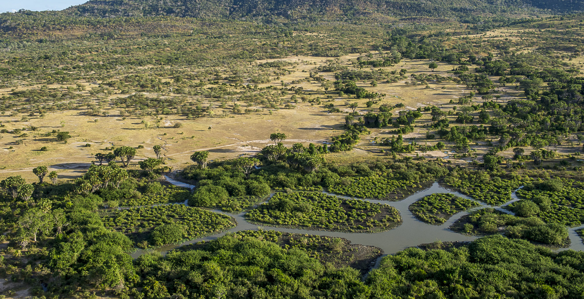 Roho ya Selous in Solous Game Reserve, Tanzania