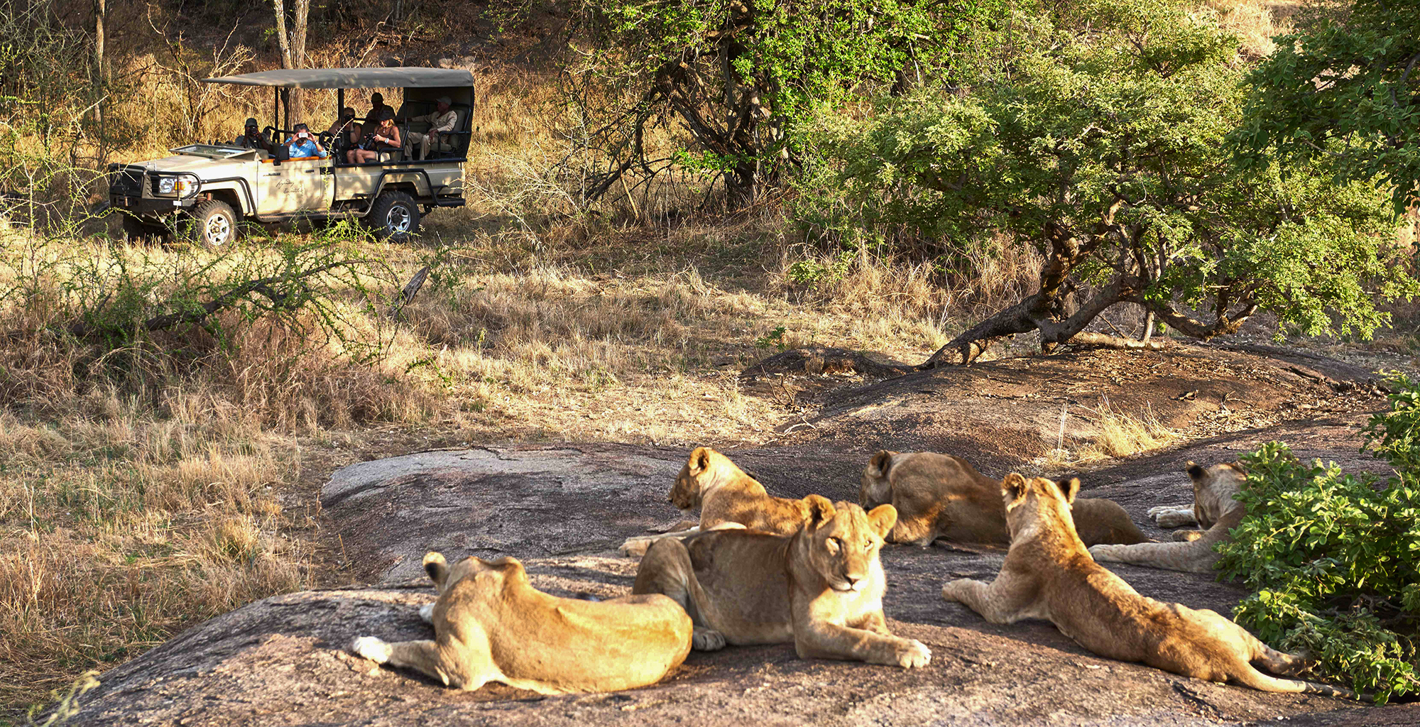 Tanzania-Mbonno-Tented-Game-Drive-Lions