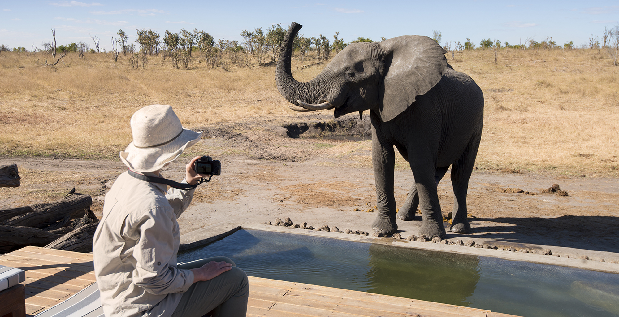 Zimbabwe-Somalisa-Expeditions-Wildlife-Elephant