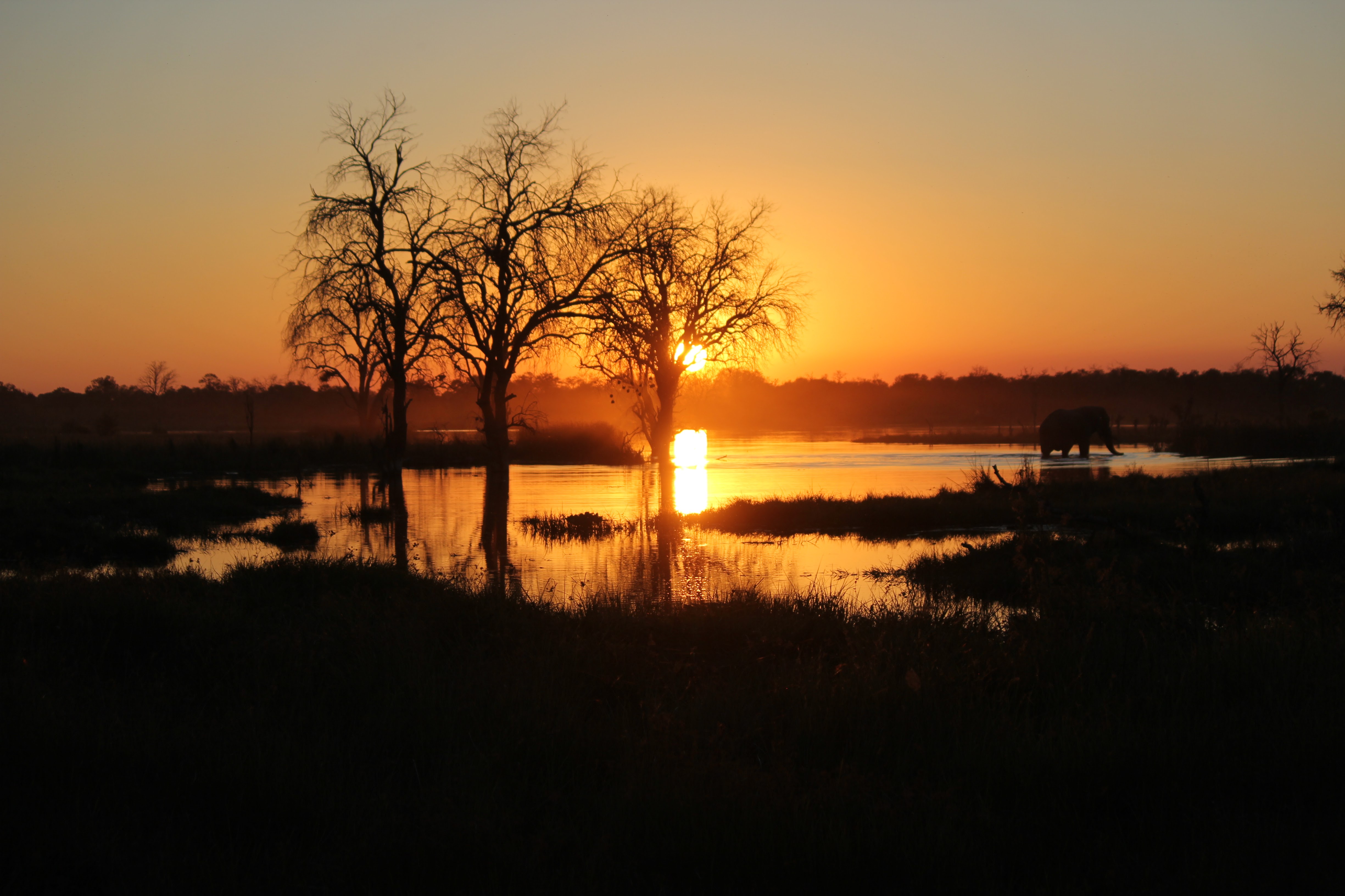 Zambezi Expeditions Sunset Zimbabwe