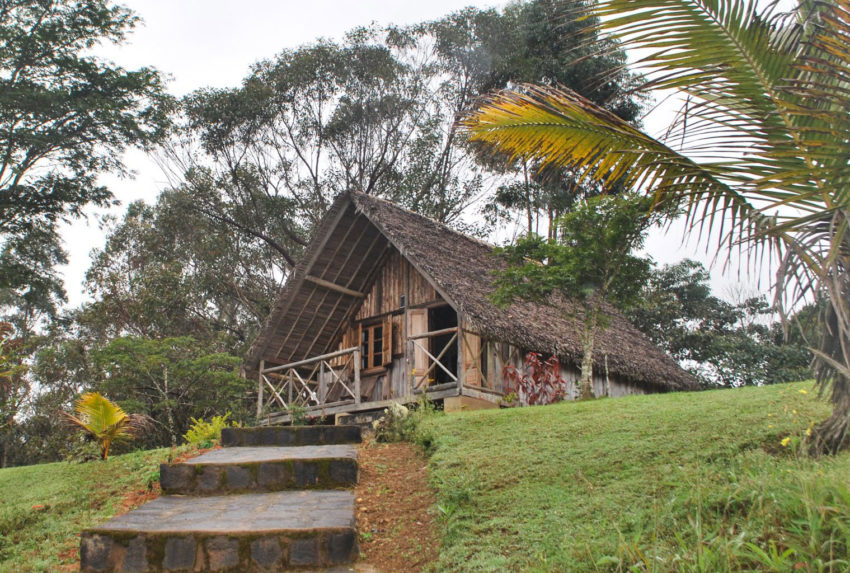 Eulophiella-East-Madagascar-Exterior