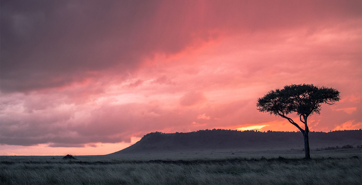 Maasai Mara at Sunset