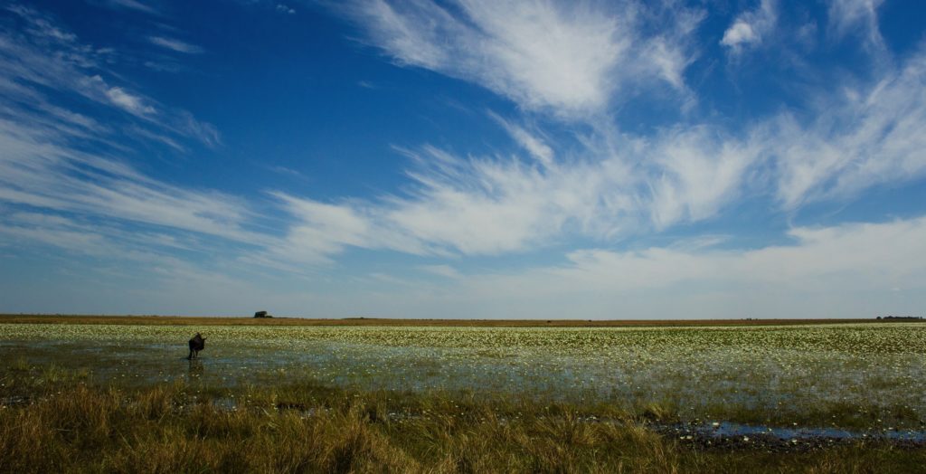 Liuwa Plain National Park Zambia Landscape