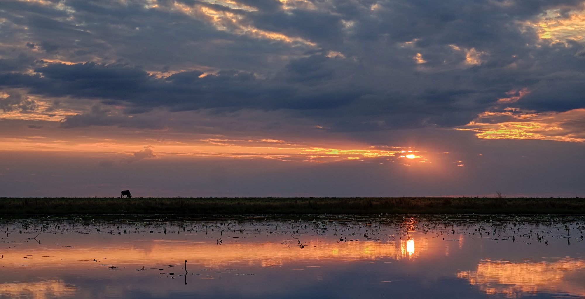 Zambia-Liuwa-Plain-Sunset