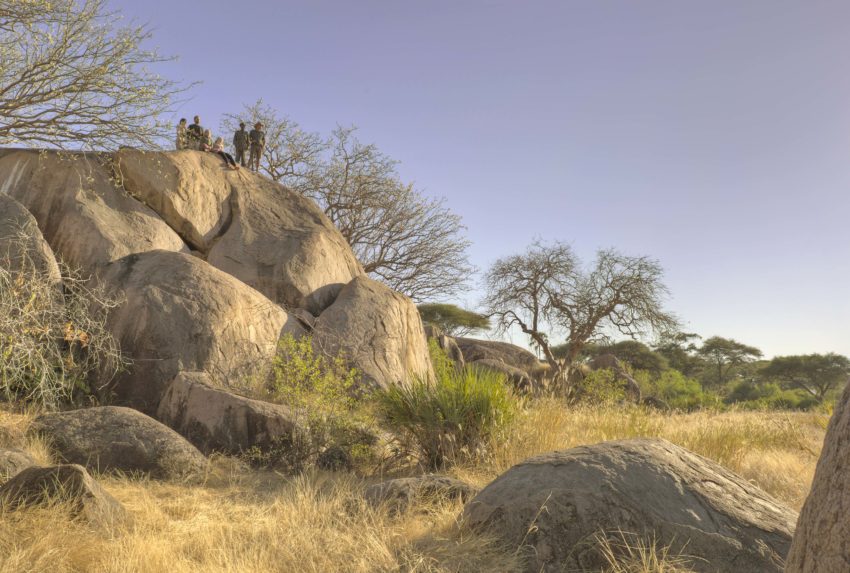 Walking the wilds of Ruaha