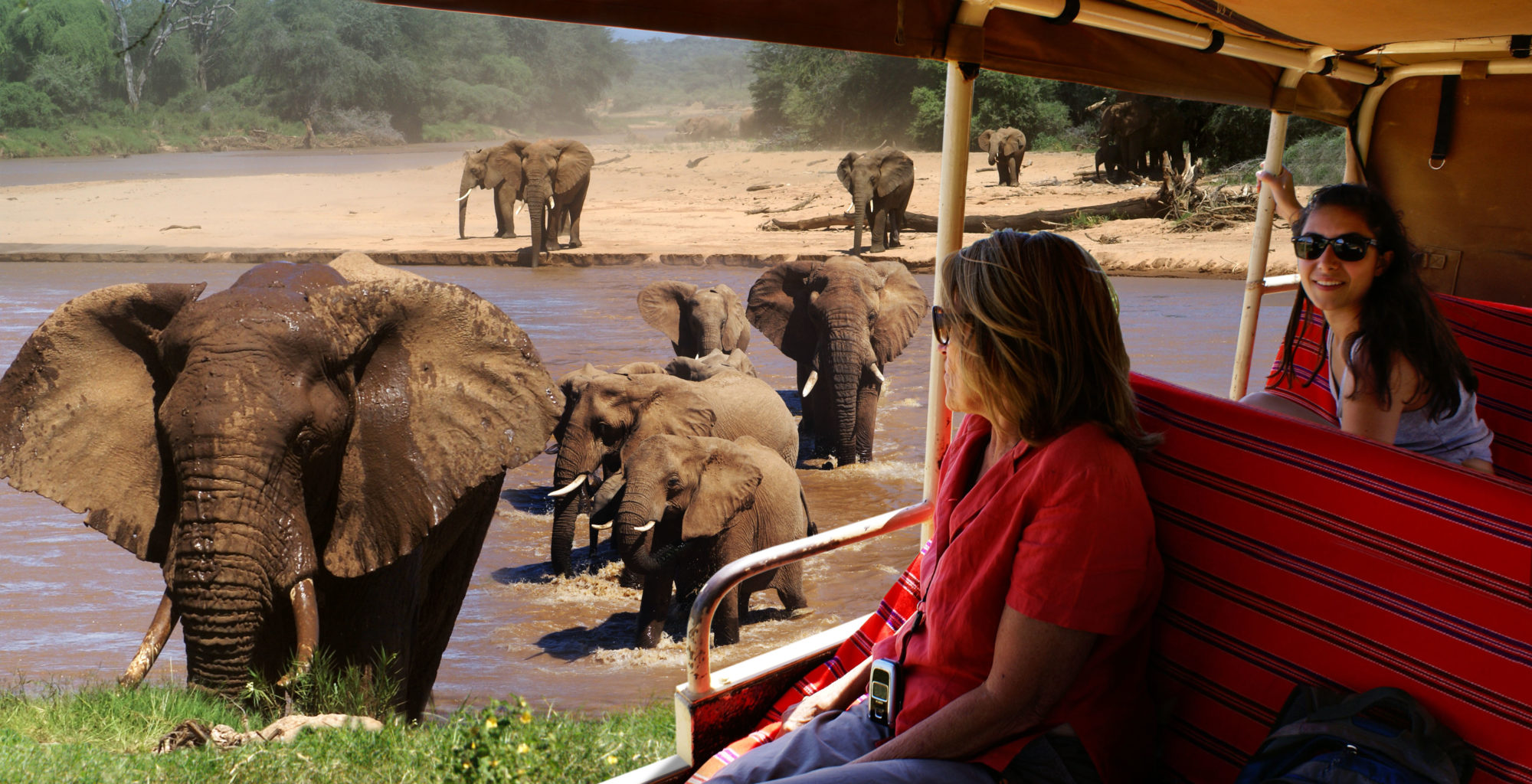 Watching Elephants Kenya