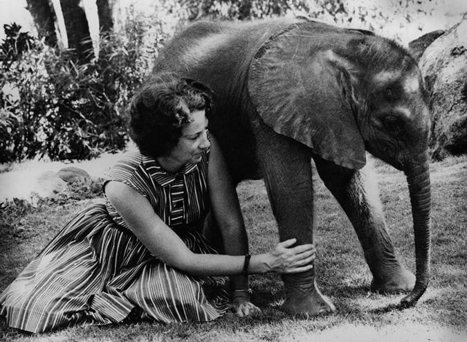 dame-daphne-sheldrick-1