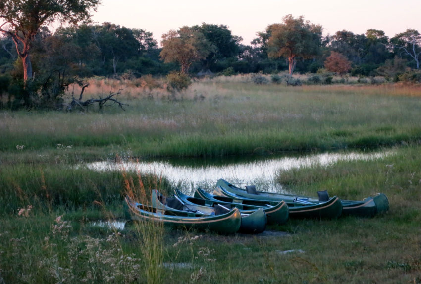 Selinda-Spillway-Mokoro