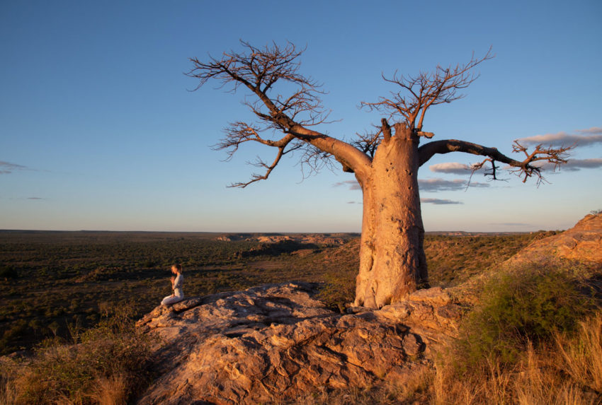 Hannah-Strand-Wellness-in-the-Wild-Baobab