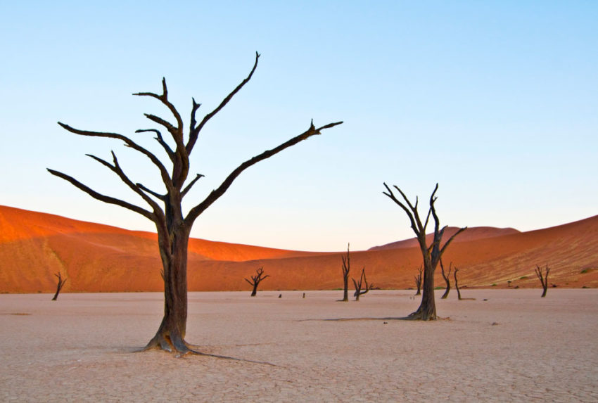 Namibia-Tracks-and-Trails-Dead-Vlei