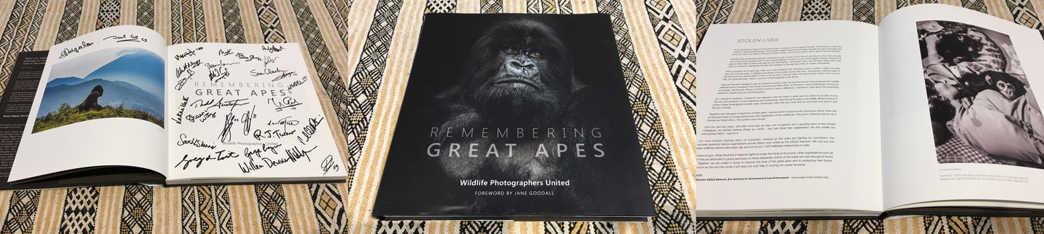 Great-Apes-Book