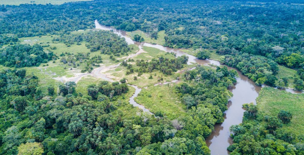 Republic-of-Congo-Odzala-Lekoli-River-Hero