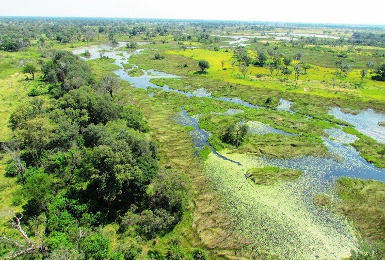 Okavango Delta Botswana