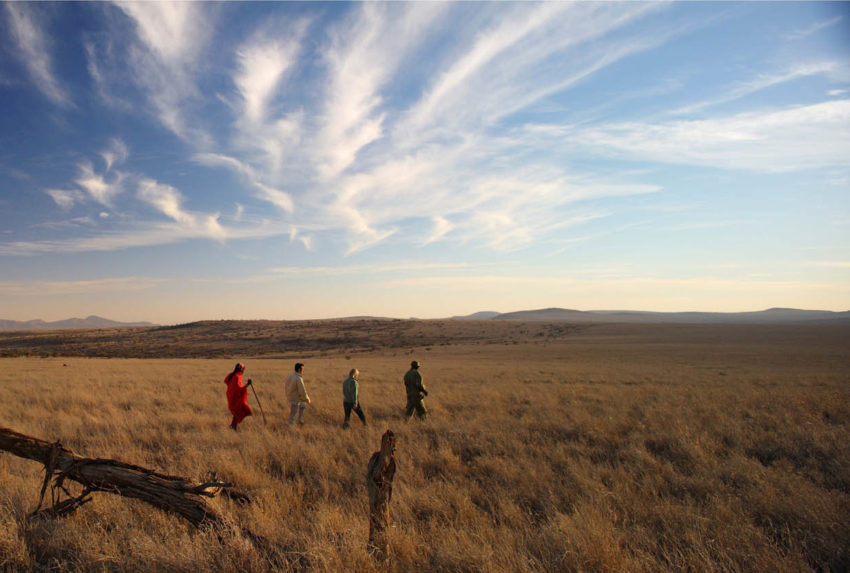 Lewa Safari Camp - Bush Walk