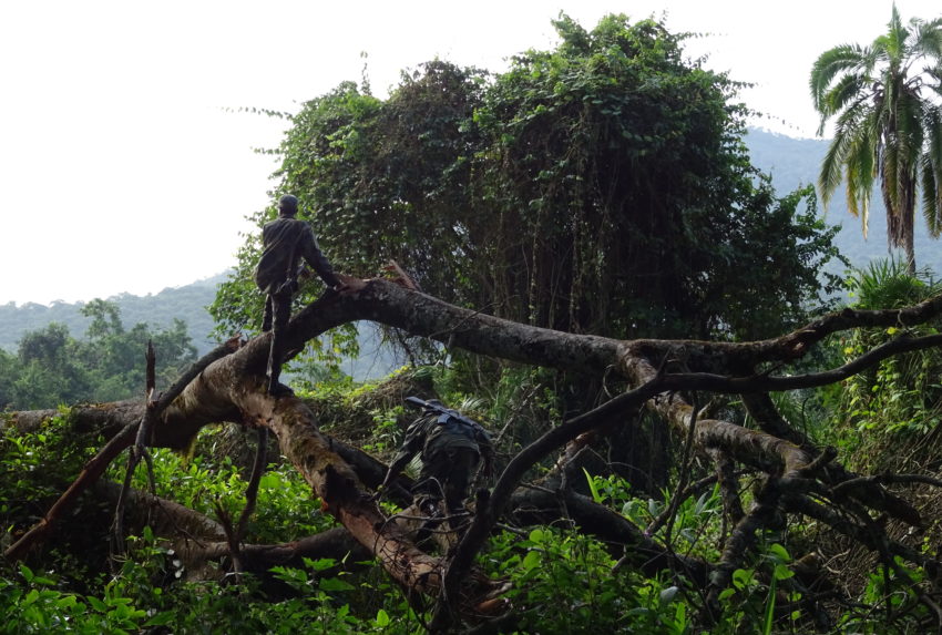 The Scouts of Chebera Churchura National Park tracking its elephants