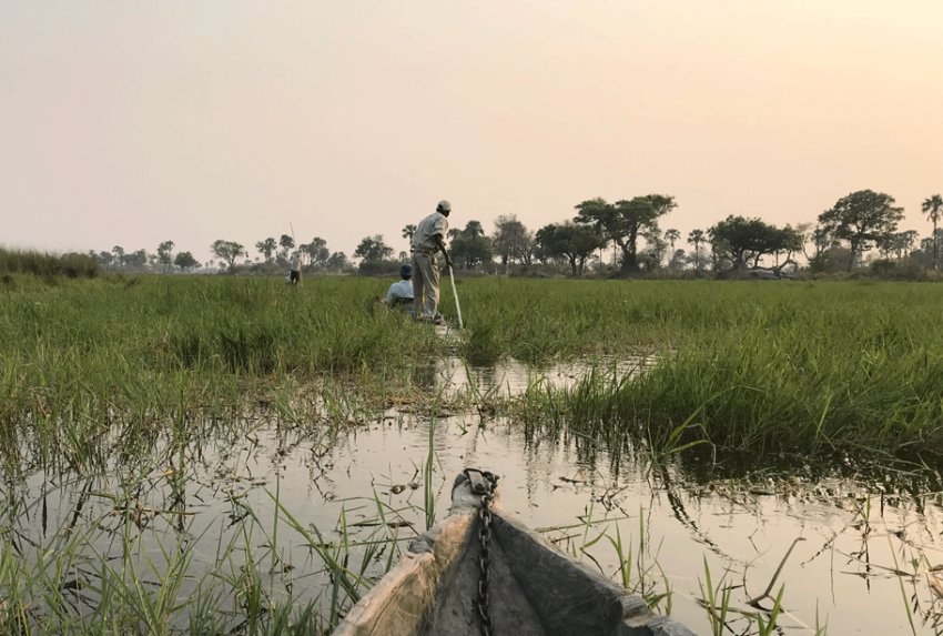 Botswana-Mokoro-Okavango-Delta-Hannah-Rayner