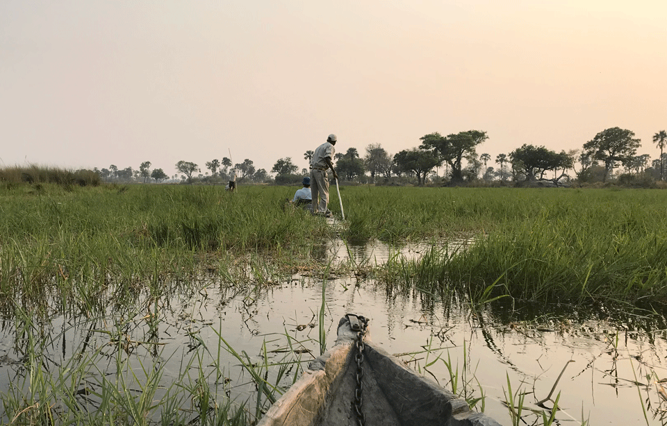 Botswana-Mokoro-Okavango-Delta-Hannah-Rayner