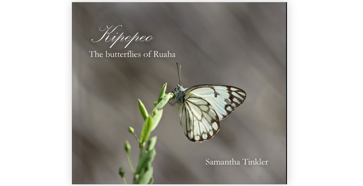 Butterflies-of-Ruaha