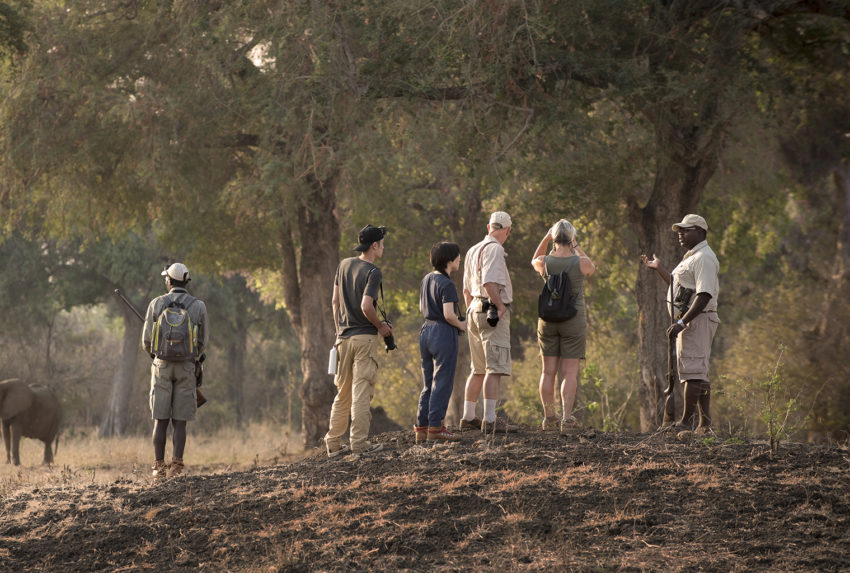 Hananh-Rayner-Mana-Pools-Walking-Safari