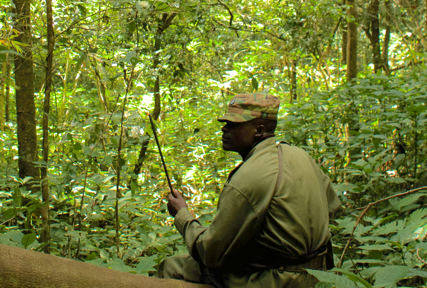 Tongwe-Trust-Ranger-Ntakata-Forest