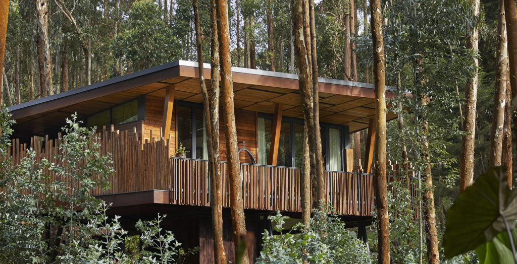Rwanda-Gorilla's-Nest-Exterior-Trees