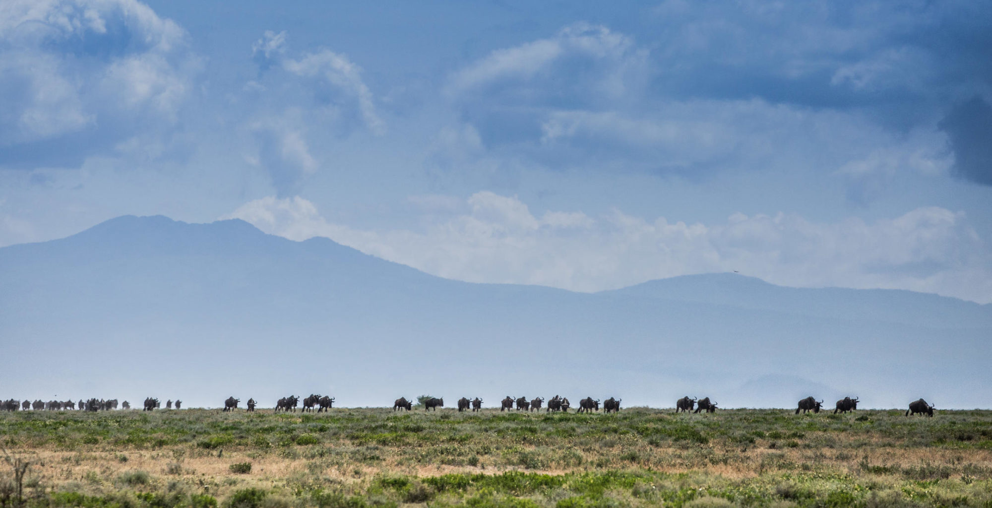 Legendary Mila Tented Camp, Tanzania