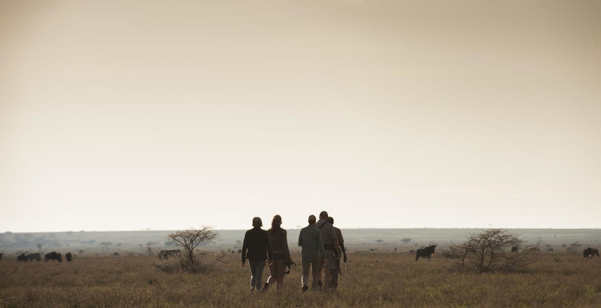 Legendary Serengeti Camp - Tanzania