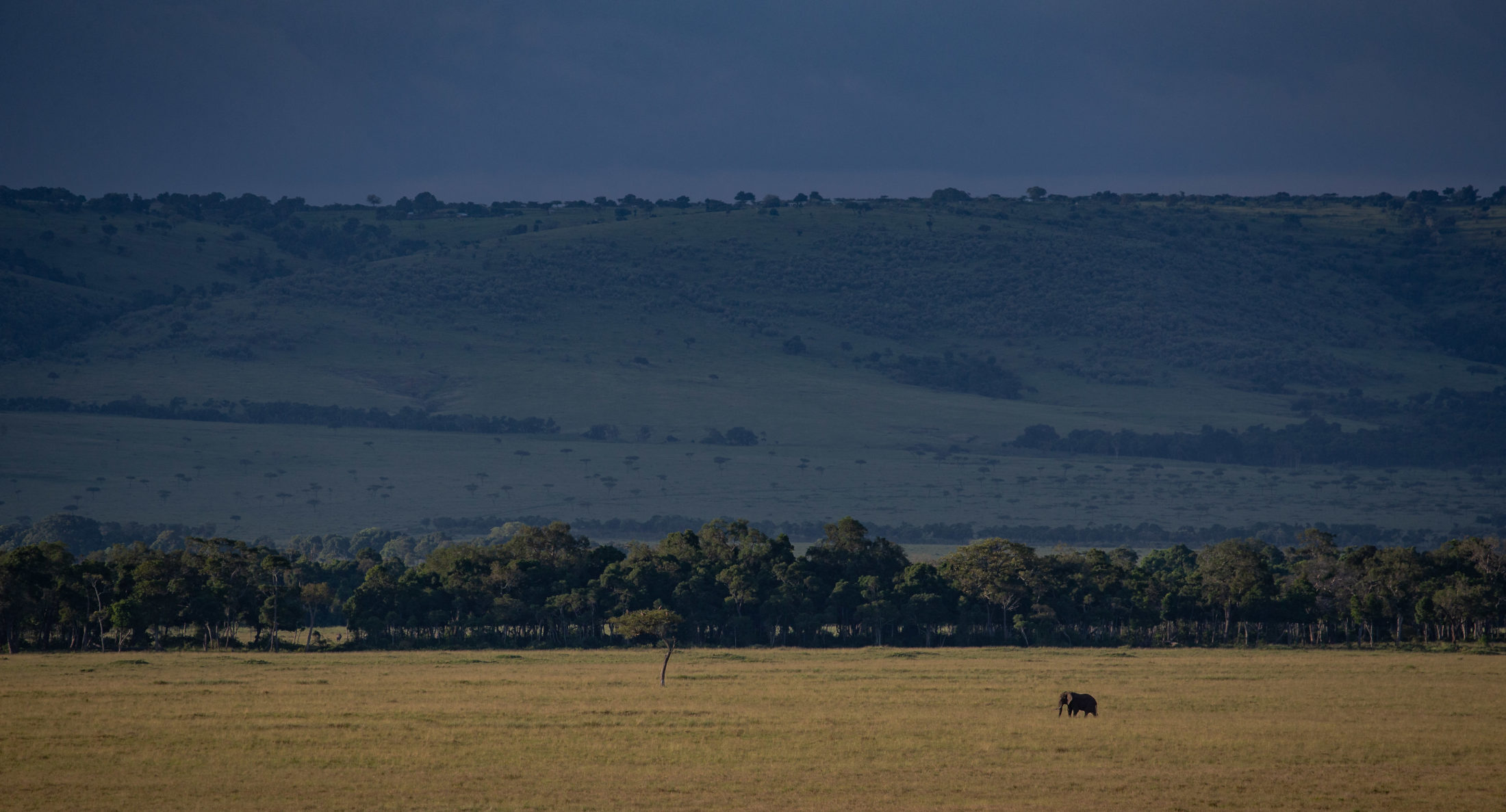 Conserving Tanzania: A luxury venture into the Serengeti