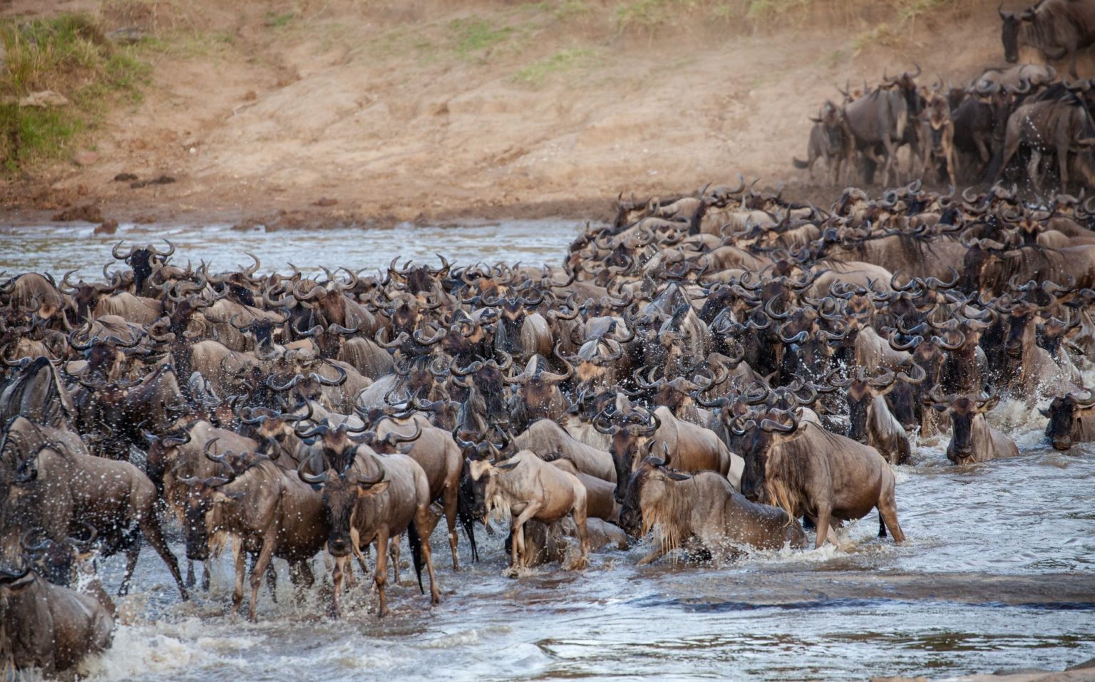 Mara-Serengeti Ecosystem: In conversation with pro guide Squack Evans ...