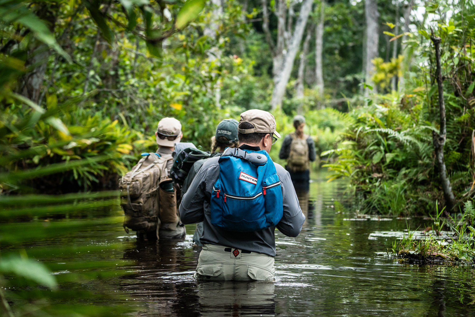 Congo Basin © Kyle de Nobrega